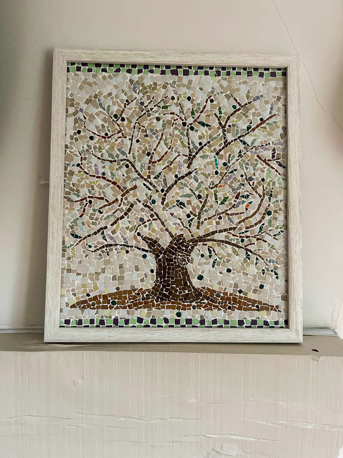Isabella's olive tree