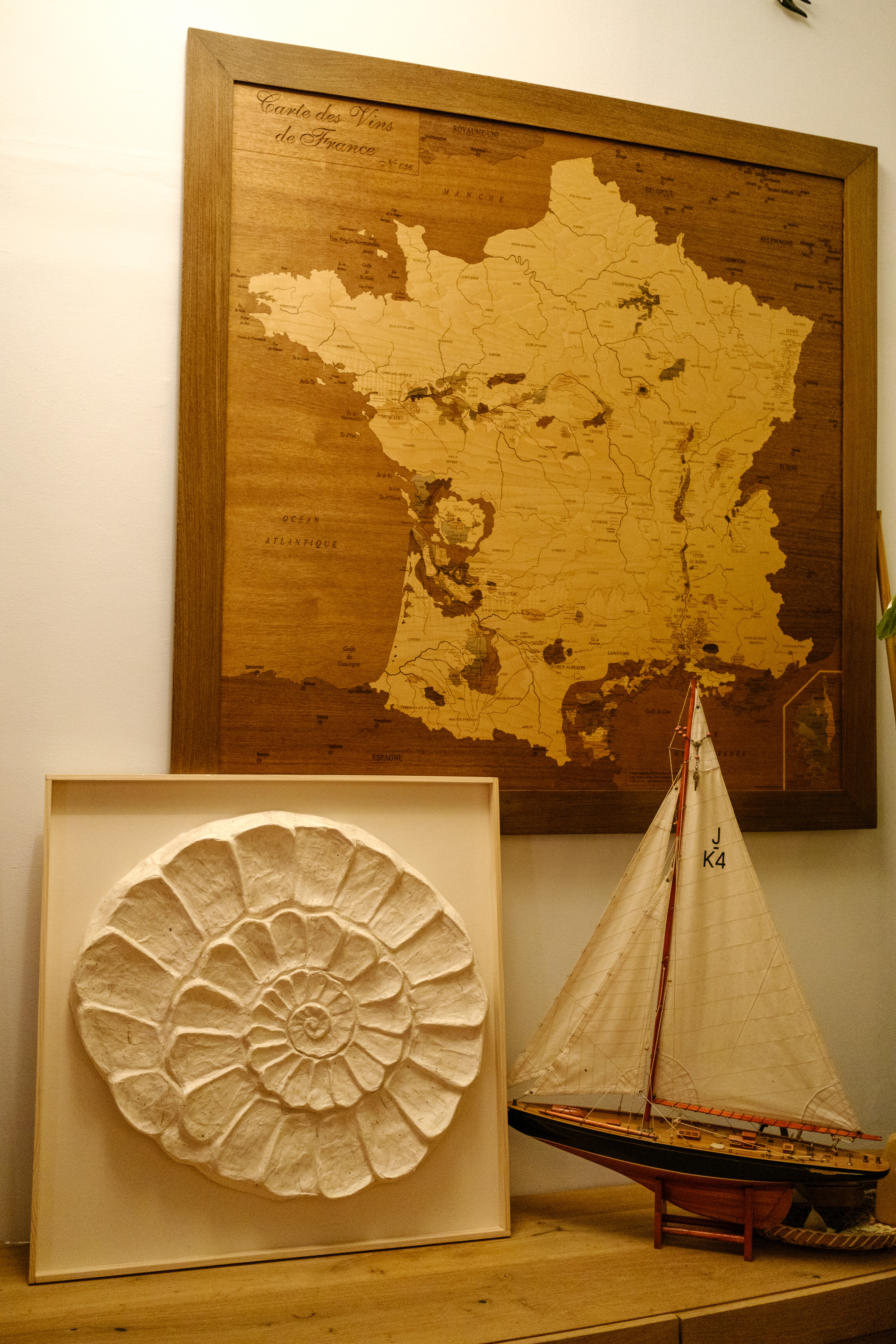 Ammonoid Frame