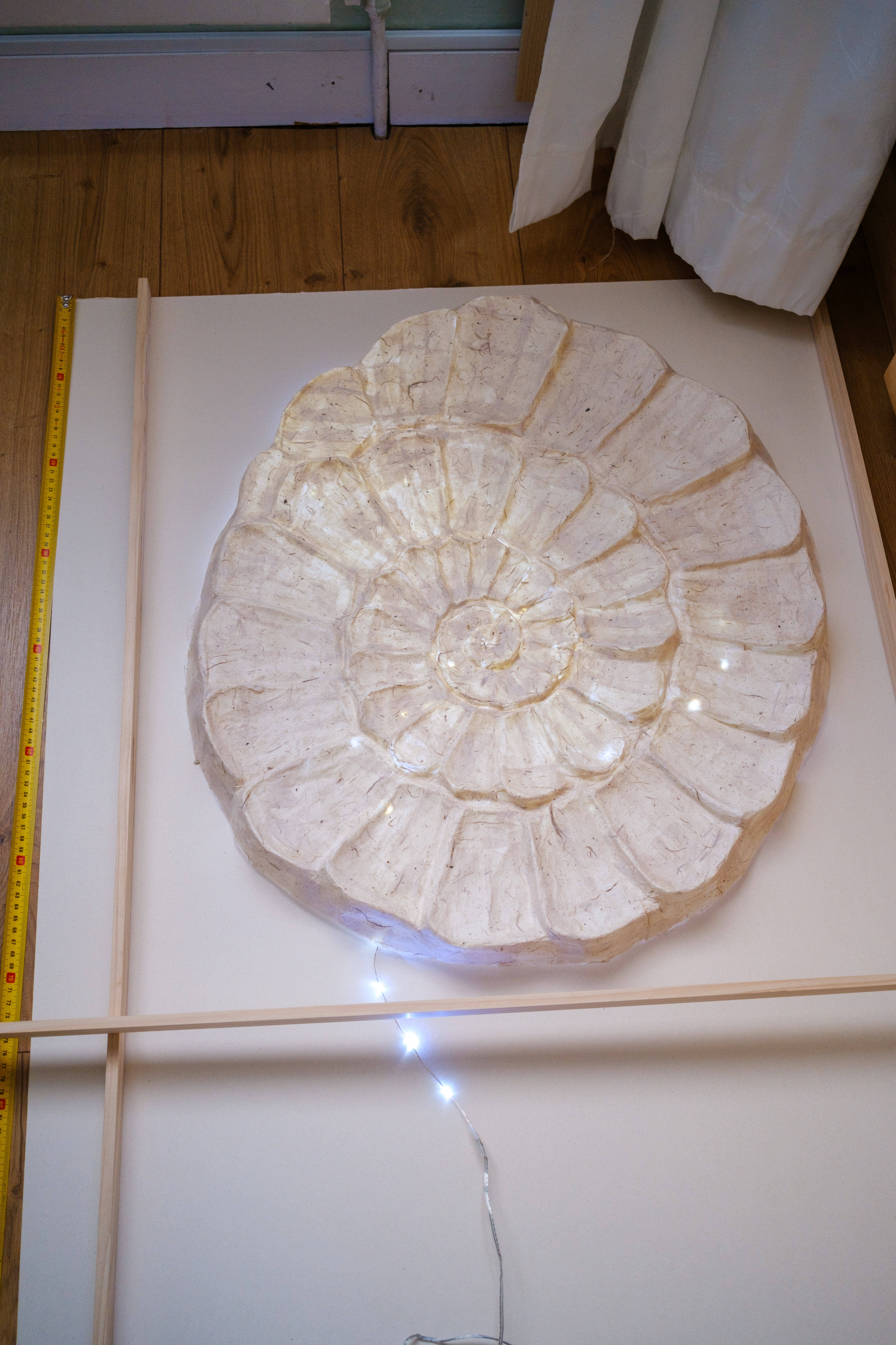 Ammonoid Frame
