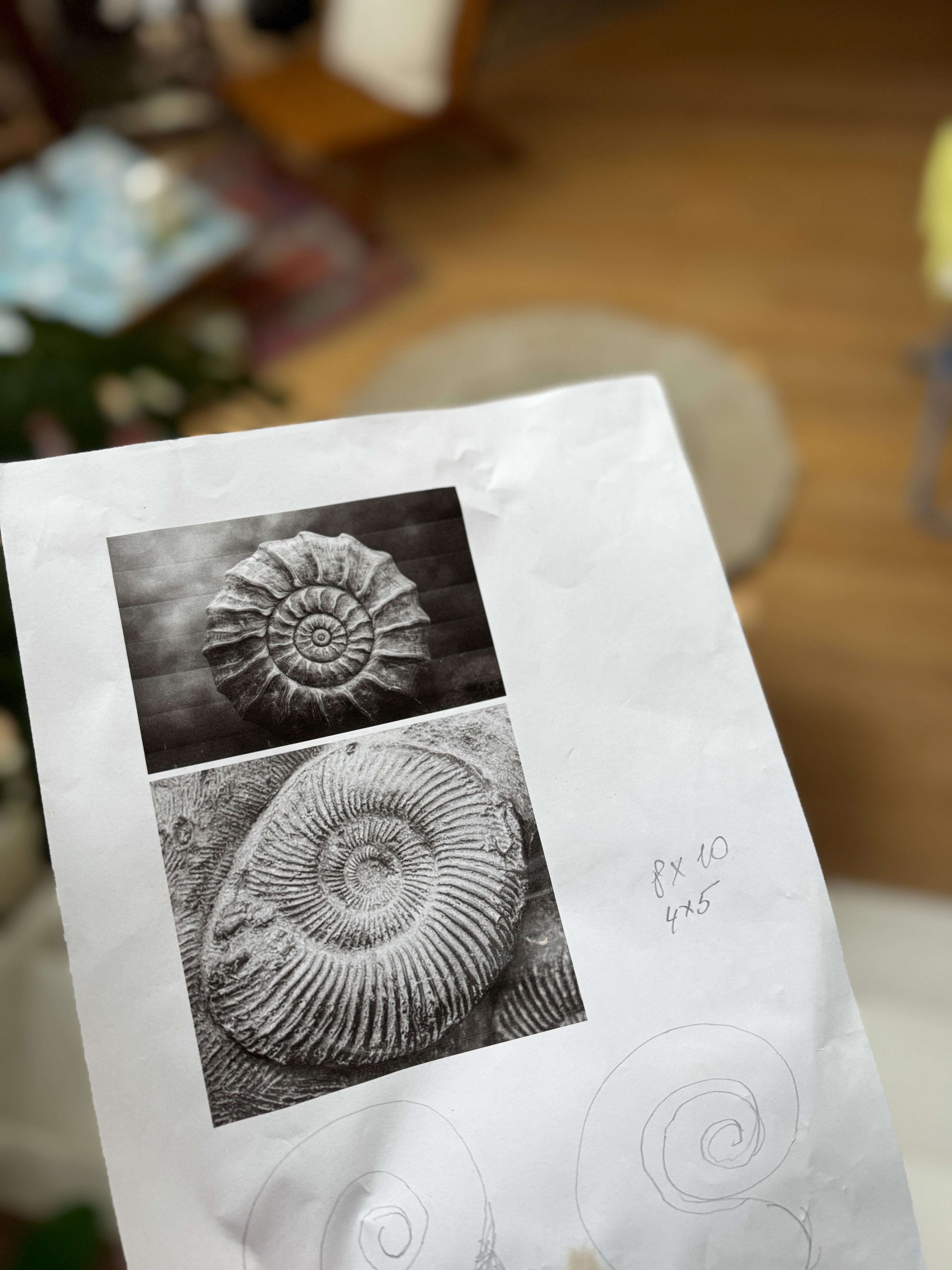 Lampe Ammonite