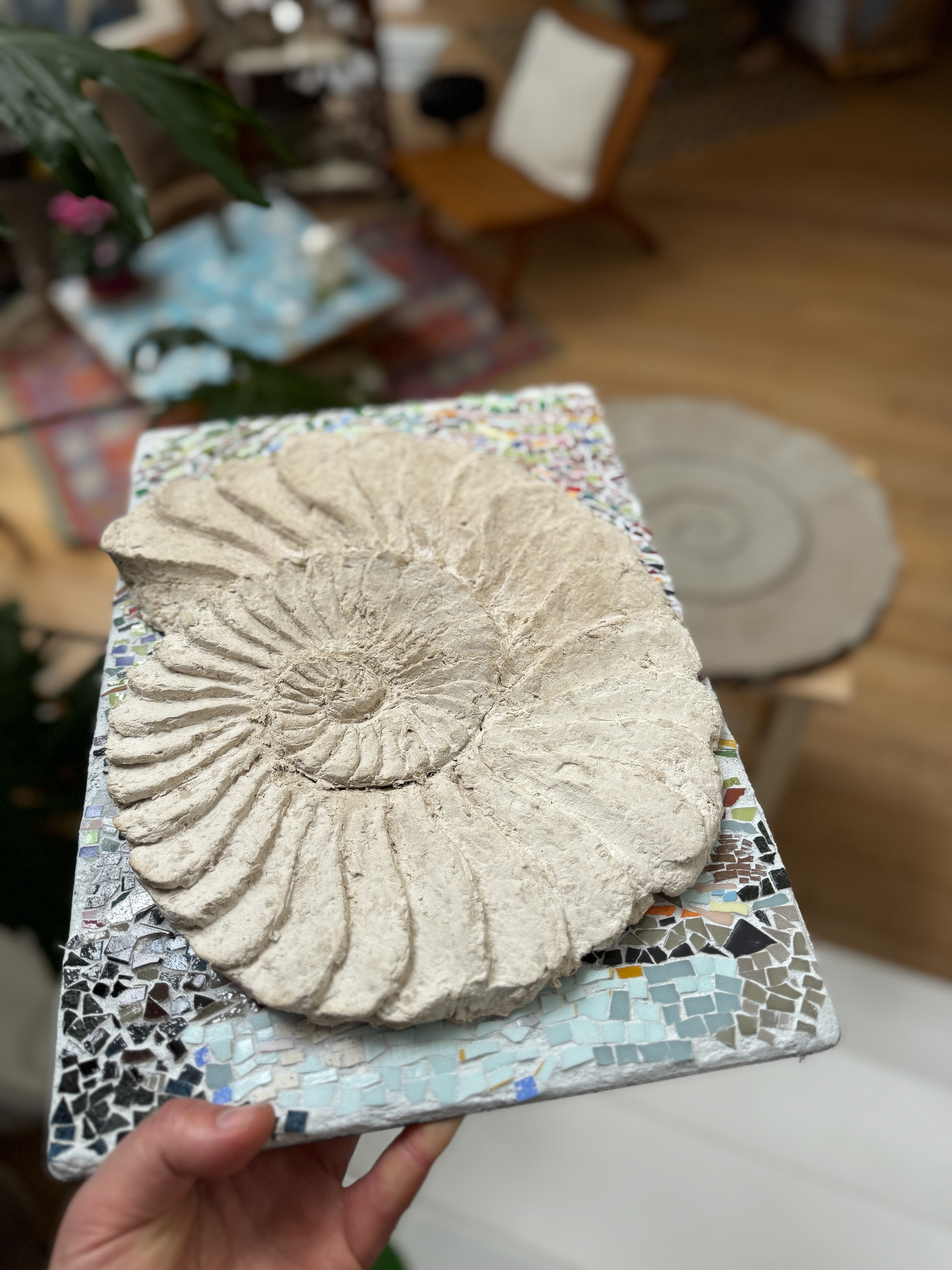 Ammonite Lamp