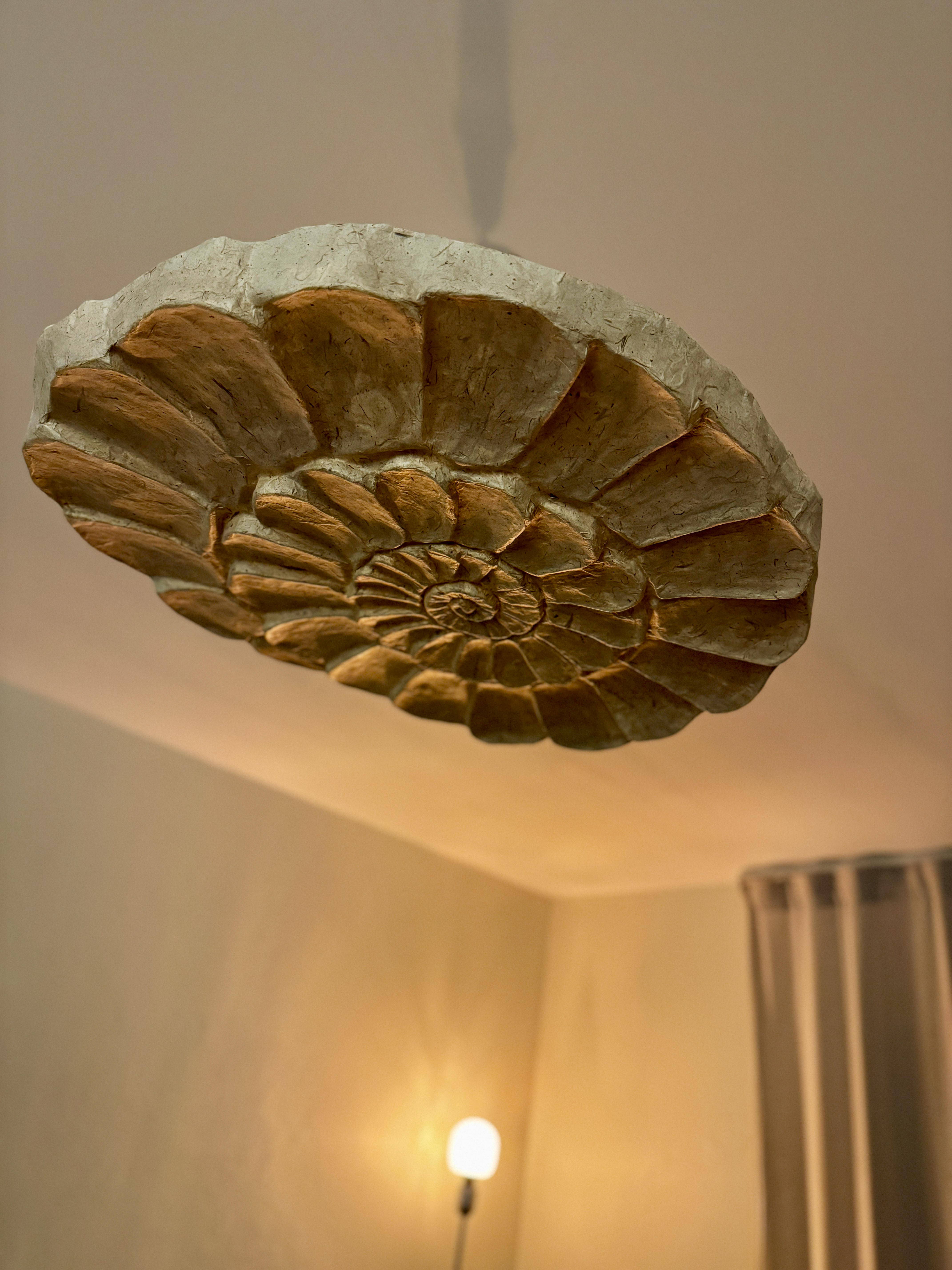 Ammonite Lamp