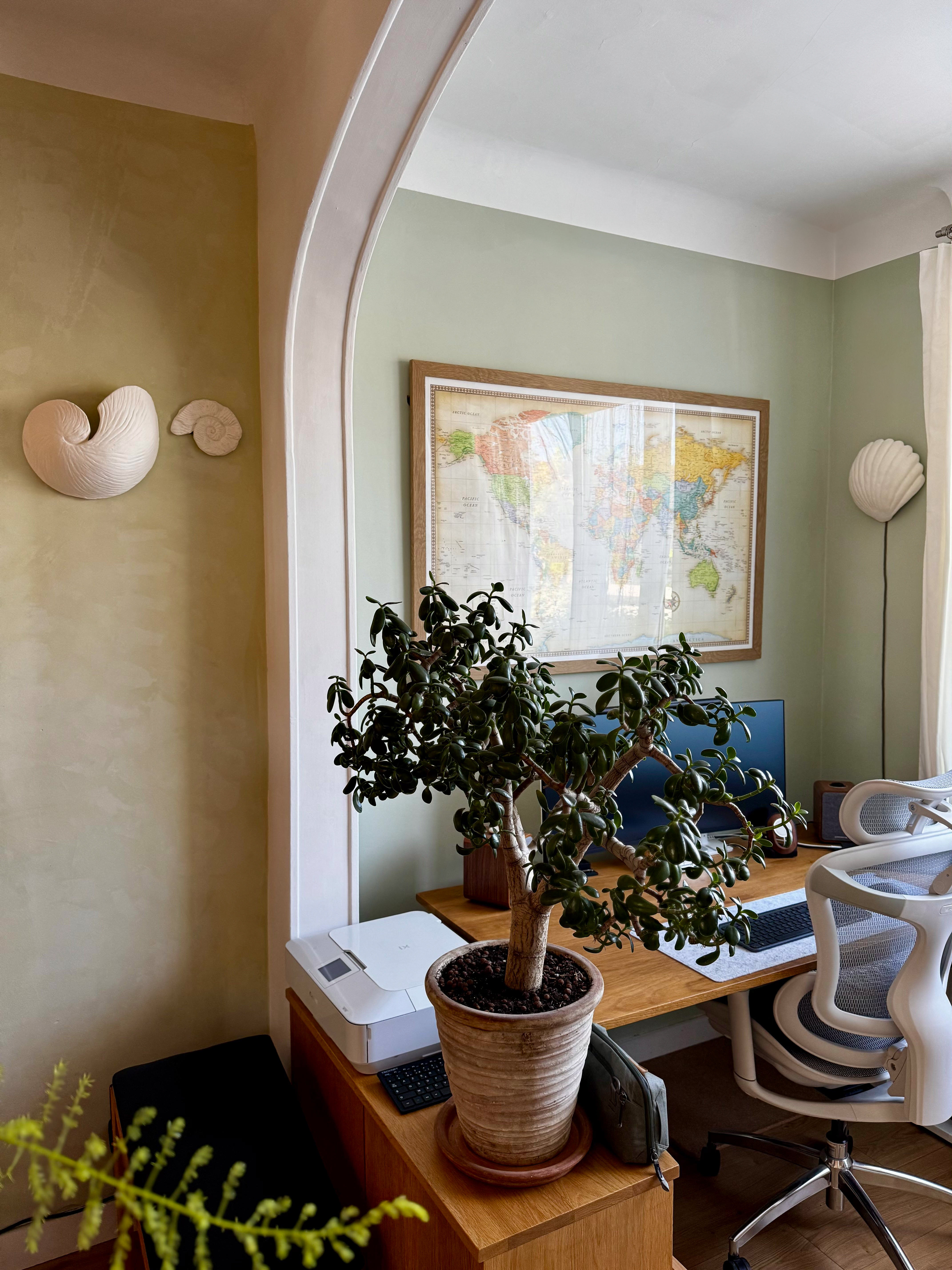 Lampes Coquillages