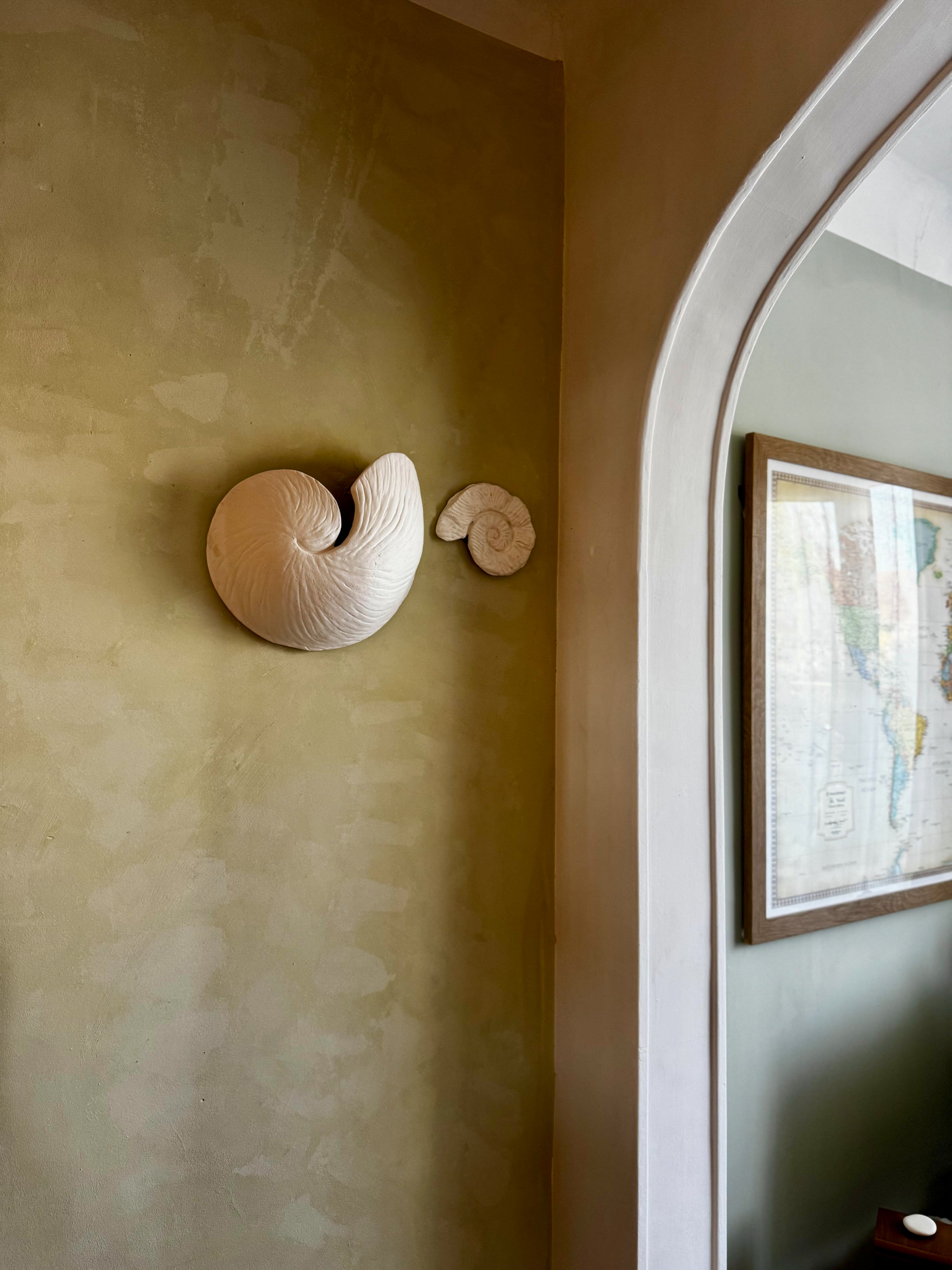 Seashell Lamps