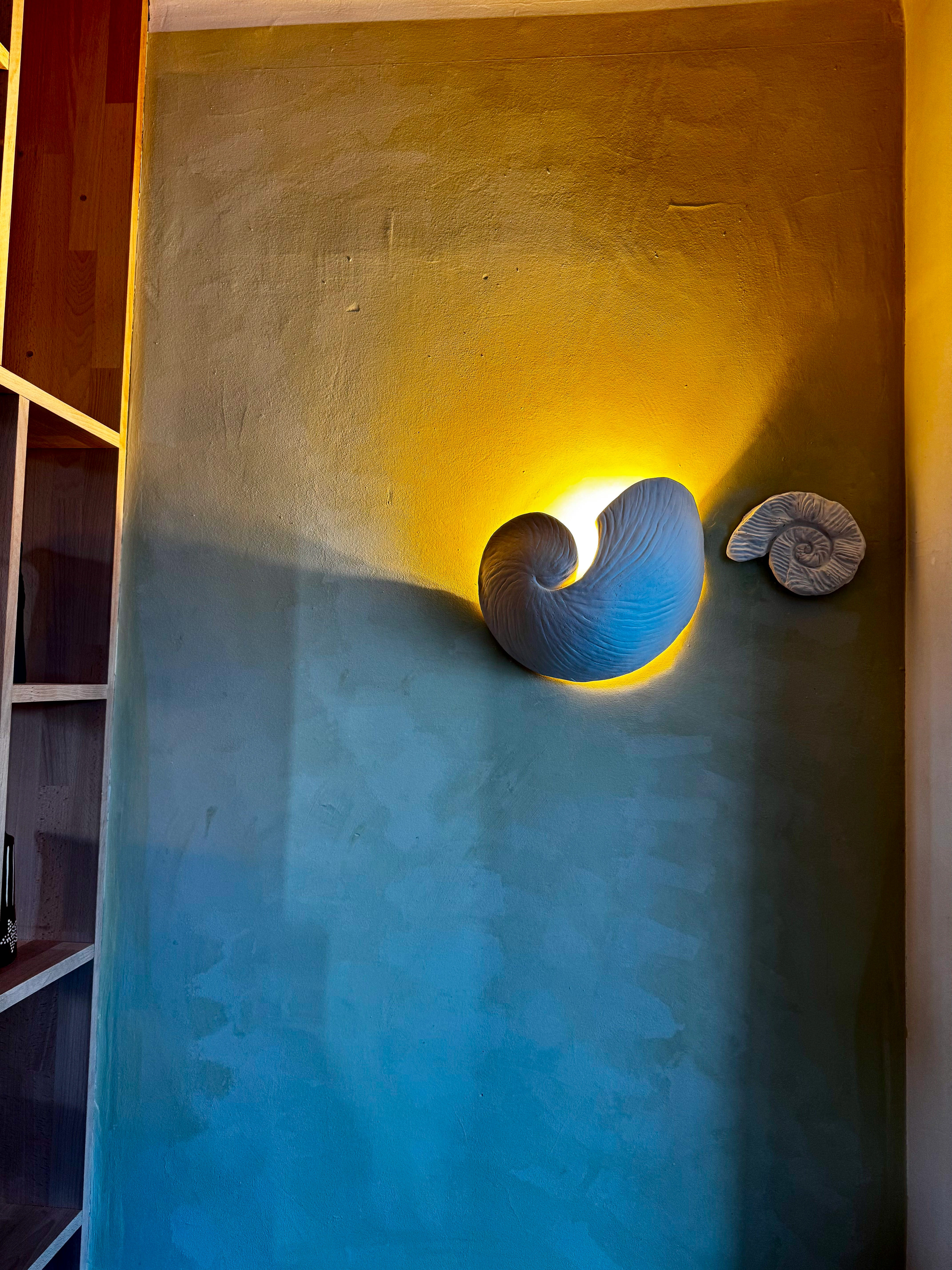 Seashell Lamps