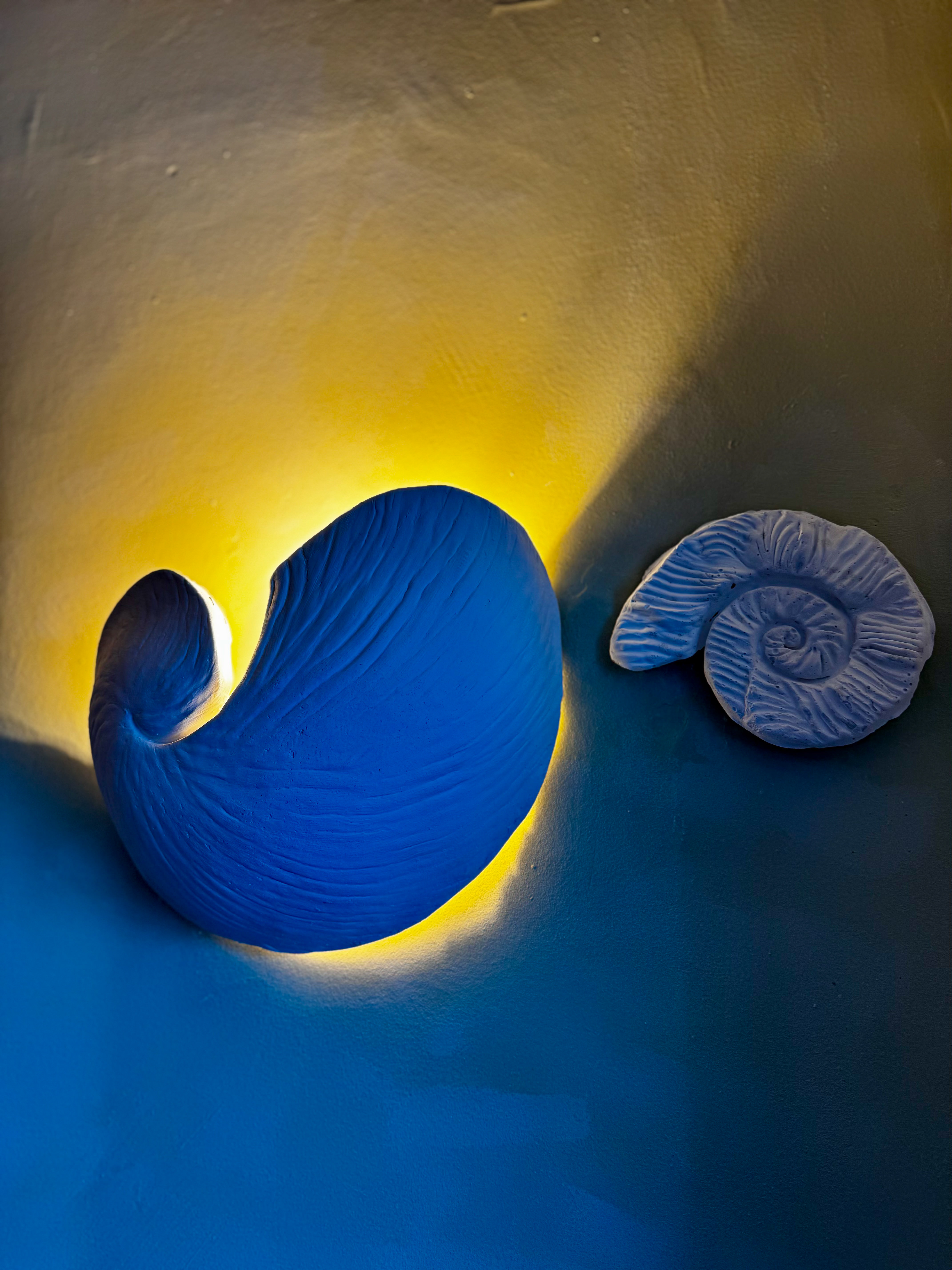Seashell Lamps